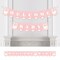 Big Dot of Happiness Swan Soiree - White Swan Baby Shower Bunting Banner - Party Decorations - Welcome Baby